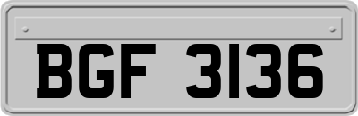 BGF3136