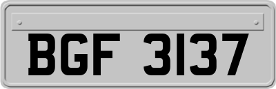 BGF3137