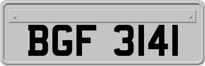 BGF3141