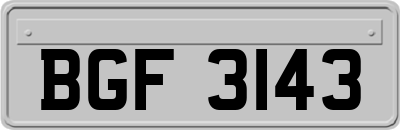 BGF3143