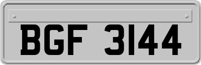BGF3144