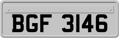 BGF3146