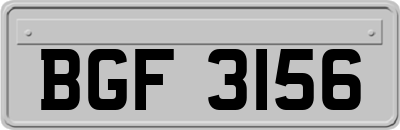 BGF3156