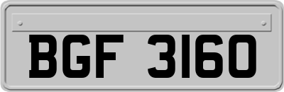 BGF3160