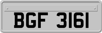 BGF3161
