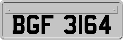 BGF3164