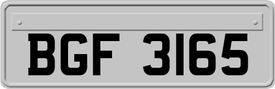 BGF3165