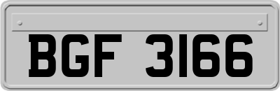 BGF3166