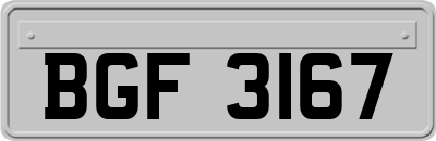 BGF3167