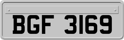 BGF3169