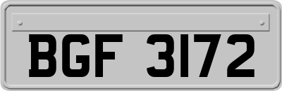 BGF3172