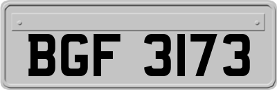 BGF3173