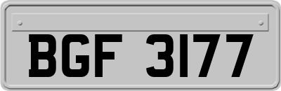 BGF3177
