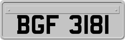 BGF3181