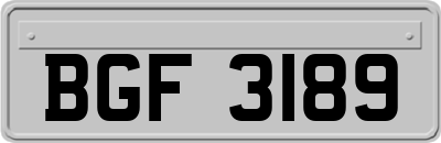 BGF3189