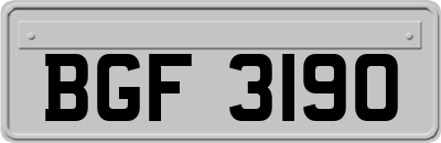 BGF3190