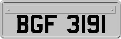 BGF3191