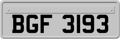 BGF3193