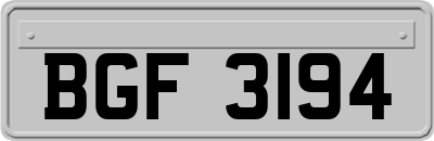 BGF3194