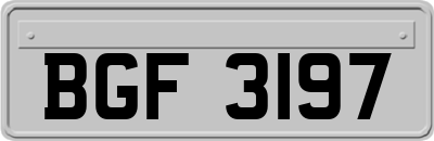 BGF3197