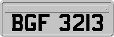 BGF3213