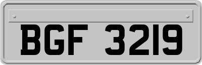 BGF3219