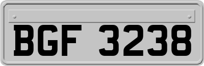 BGF3238