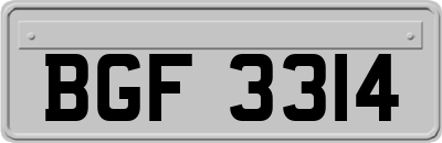 BGF3314