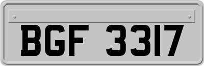 BGF3317