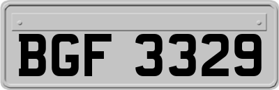 BGF3329
