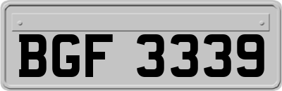 BGF3339