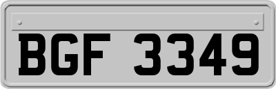 BGF3349