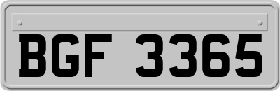 BGF3365
