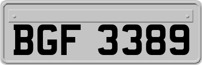 BGF3389