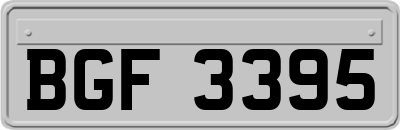 BGF3395