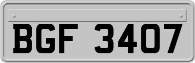 BGF3407