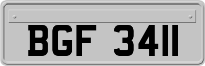 BGF3411