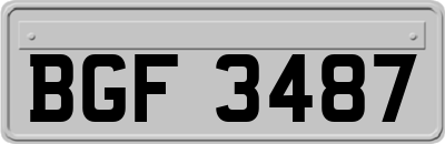 BGF3487