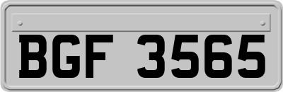 BGF3565