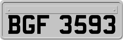 BGF3593