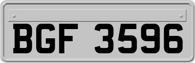 BGF3596