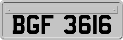 BGF3616