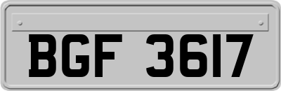 BGF3617