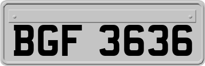 BGF3636