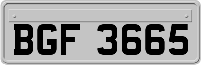 BGF3665
