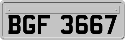 BGF3667