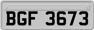 BGF3673
