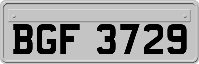BGF3729