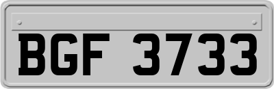 BGF3733
