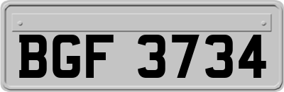 BGF3734